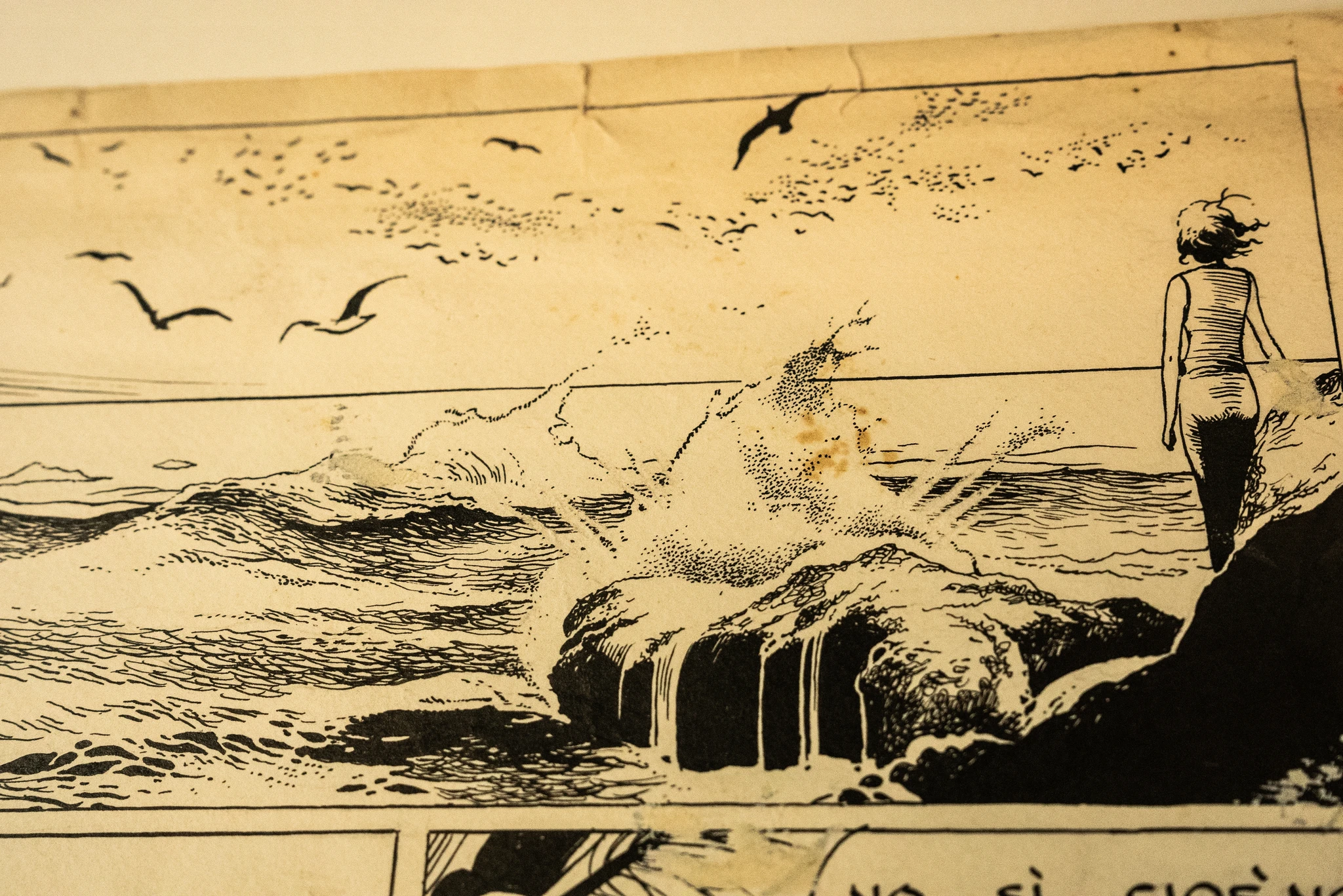 Vignetta in bianco e nero che raffigura una scena marina: onde che si infrangono su rocce in primo piano e numerosi uccelli in volo nel cielo. Sulla destra è visibile una figura umana di spalle, in piedi sulla riva, che osserva l’orizzonte. La carta presenta segni di usura e leggere macchie.