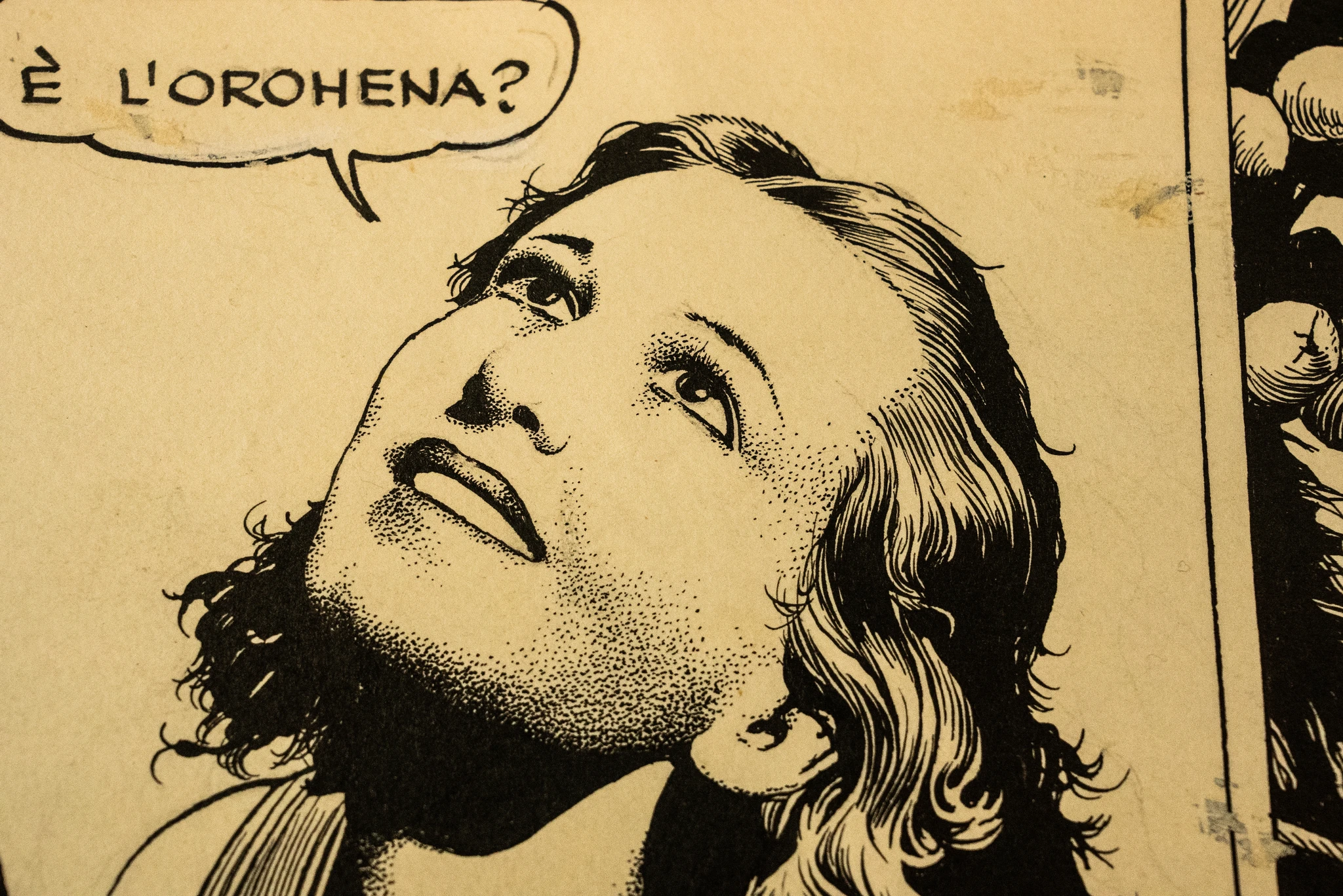 Dettaglio di una vignetta in bianco e nero: una figura umana con capelli ondulati guarda verso l’alto, con il viso disegnato tramite puntinatura. In alto a sinistra è presente un fumetto con la scritta ‘È l’OroHena?’