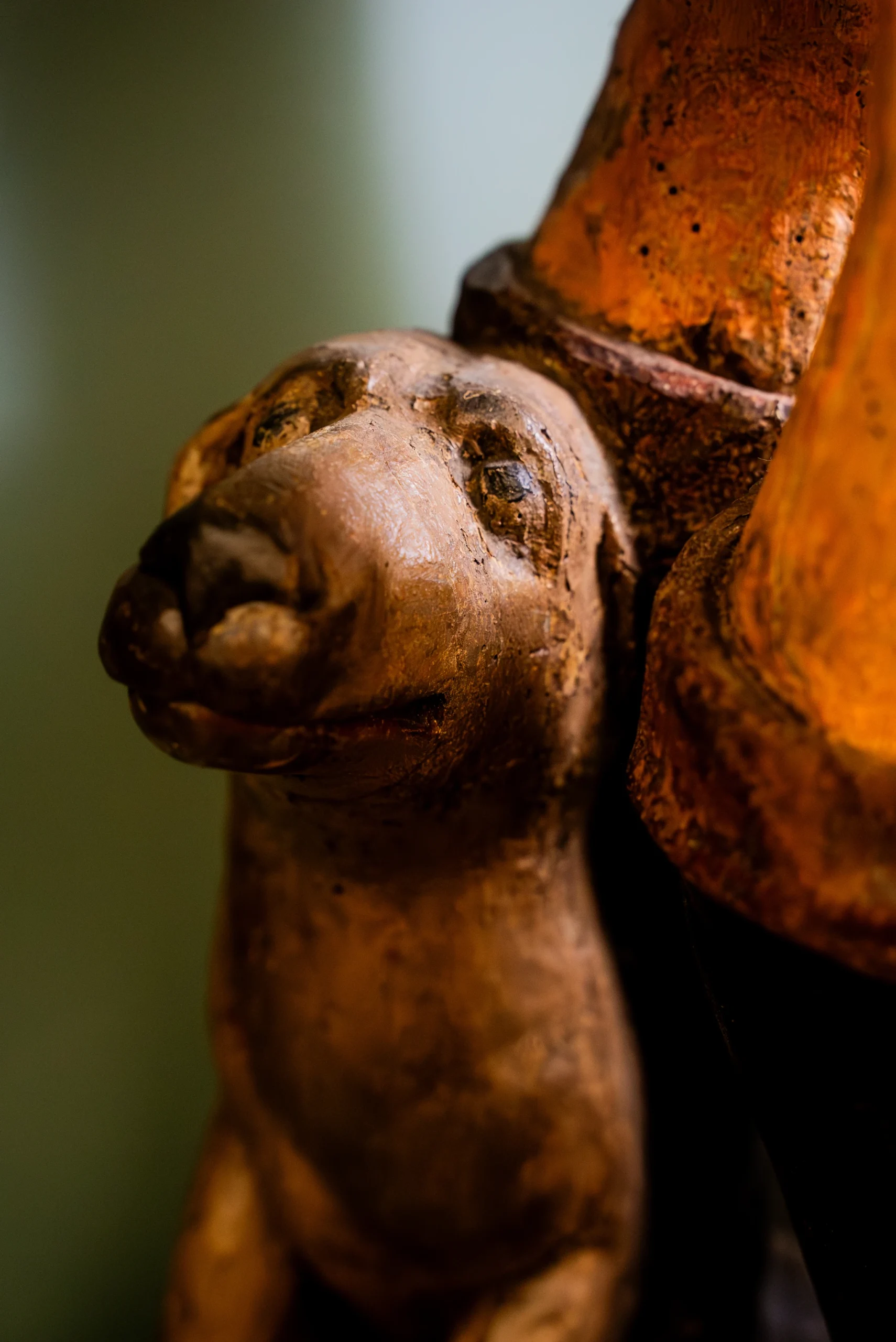 Un'inquadratura ravvicinata e dal basso della testa di un cane, parte di una scultura antica in legno dedicata a San Rocco. Il cane è scolpito con uno stile semplice e popolare, con il muso rivolto verso l'alto e occhi piccoli e scuri. La superficie lignea mostra i segni del tempo, con una patina bruna e residui di policromia. L'animale è raffigurato accanto alla gamba del Santo, della quale si scorge una porzione di veste dorata e decorata sulla destra. Lo sfondo è un verde scuro uniforme e sfocato che fa risaltare la calda tonalità del legno scolpito.