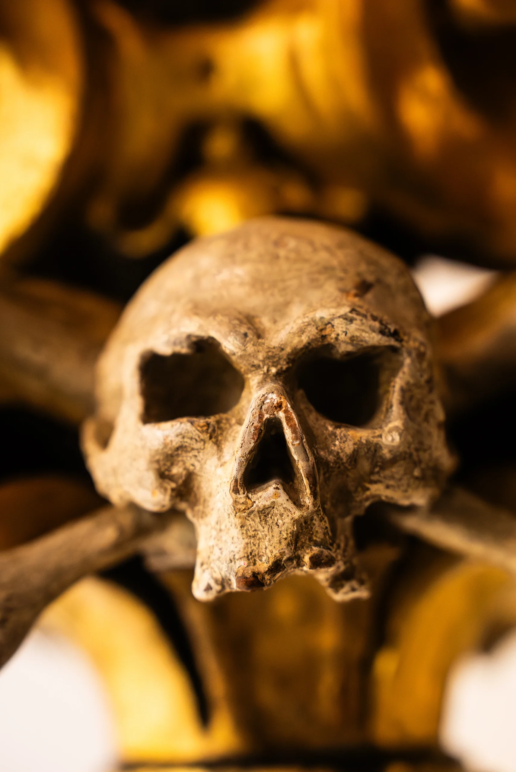 Primo piano ravvicinato di un teschio umano scolpito in rilievo, con due ossa incrociate alle sue spalle. La scultura presenta una texture materica e usurata, dalle tonalità calde del beige e del marrone, inserita in un contesto ornamentale dorato e sfocato che richiama lo stile barocco.