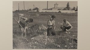 Una fotografia storica in bianco e nero che ritrae tre uomini impegnati in uno scavo archeologico in un campo erboso. Due uomini in primo piano utilizzano dei picconi per smuovere il terreno, mentre un terzo uomo, sulla destra, è accovacciato e sembra esaminare dei reperti o frammenti di roccia. Sullo sfondo si erge un grande complesso industriale o agricolo con una torre dell'orologio e un'alta ciminiera, circondato da un muro di cinta bianco. L'immagine documenta un momento di lavoro manuale in un contesto rurale e storico.