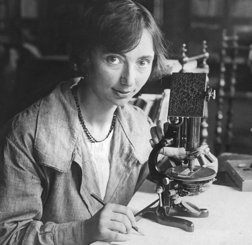 Ritratto in bianco e nero della scienziata Silvia Zenari al lavoro. La donna è seduta a un tavolo, guarda verso l'obiettivo e tiene una matita in mano sopra un foglio. Accanto a lei è posizionato un microscopio d'epoca in metallo scuro. Indossa una camicia dal taglio semplice e una collana di perle scure.